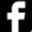 icon facebook
